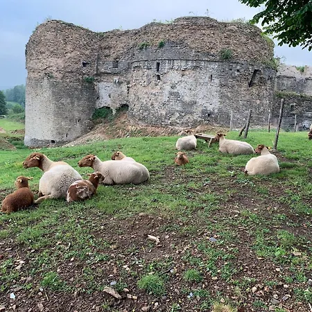 Le Buchon Tatil Evi *